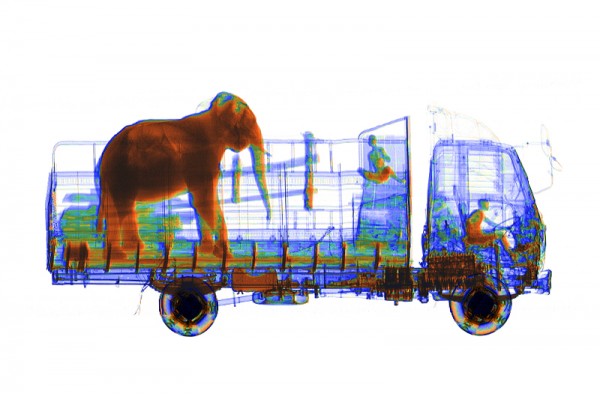 mobile X-ray series M-SCAN